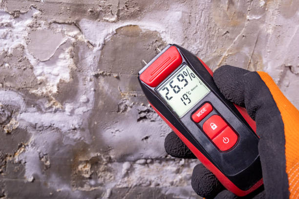 Best Residential Mold Remediation in Vandalia, OH